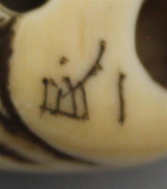 A Japanese ivory netsuke of a shi-shi, signed Ichimin, early Meiji period, 4.6cm